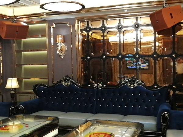 【极悦娱乐案例】东莞宝丝捷生物科技音响项目工程