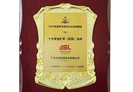 2025年十佳专业扩声（民族）品牌