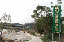 茂名展示厅音响工程案例-【极悦娱乐】