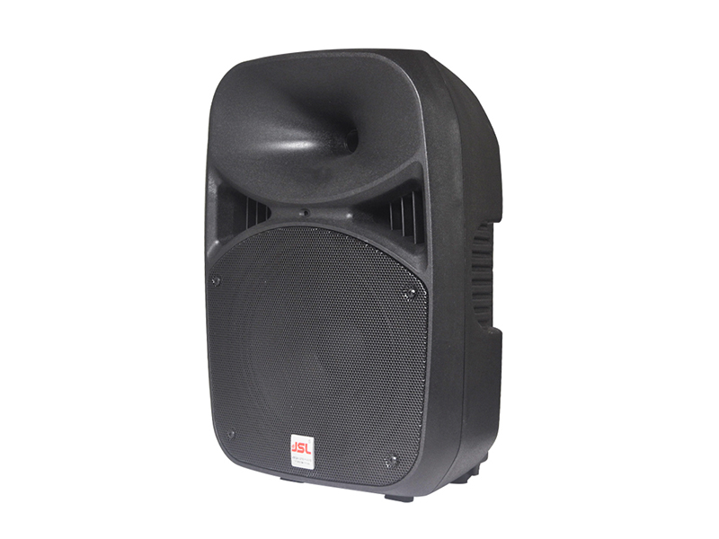 极悦娱乐音响 专业二分频音箱RX-10